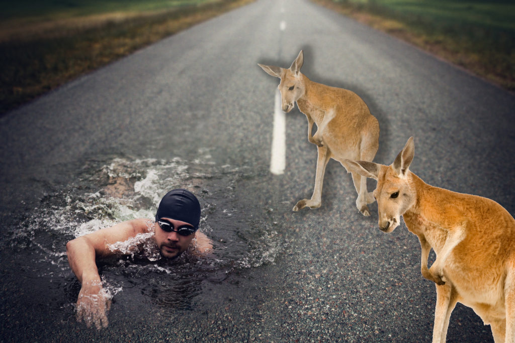 Swim On Asphalt Kangaroo